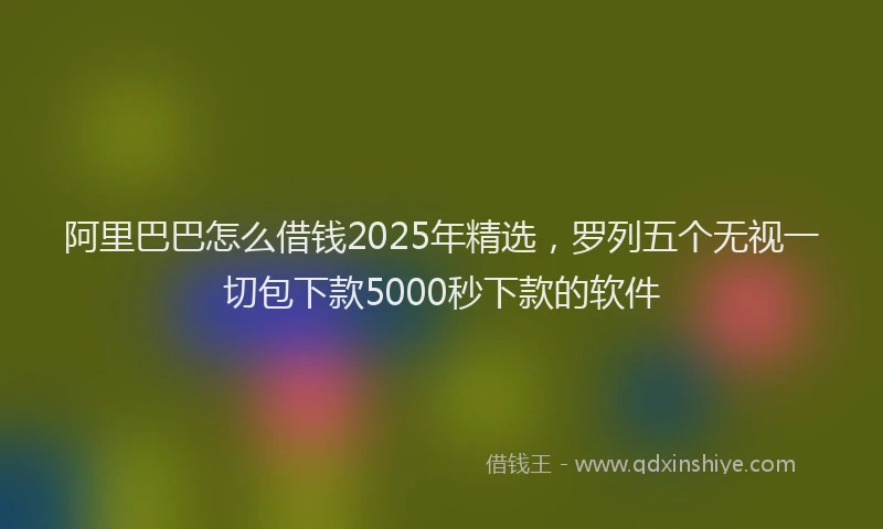阿里巴巴怎么借钱2025年精选，罗列五个无视一切包下款5000秒下款的软件