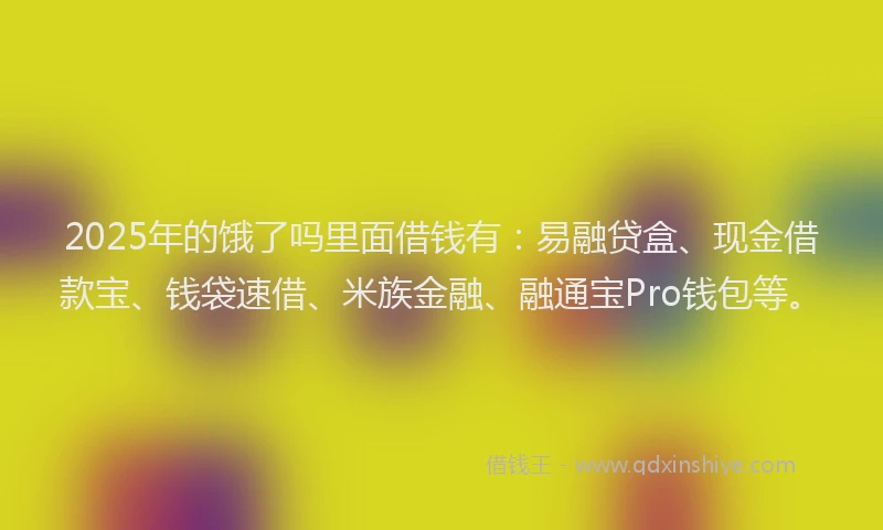 2025年的饿了吗里面借钱有：易融贷盒、现金借款宝、钱袋速借、米族金融、融通宝Pro钱包等。