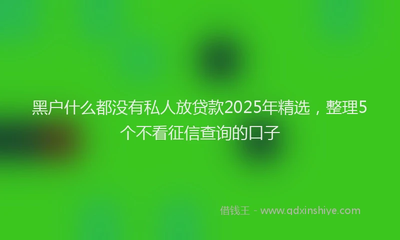黑户什么都没有私人放贷款2025年精选，整理5个不看征信查询的口子