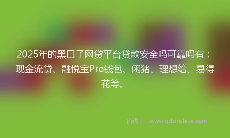 2025年的黑口子网贷平台贷款安全吗可靠吗有：现金流贷、融悦宝Pro钱包、闲猪、理想给、易得花等。