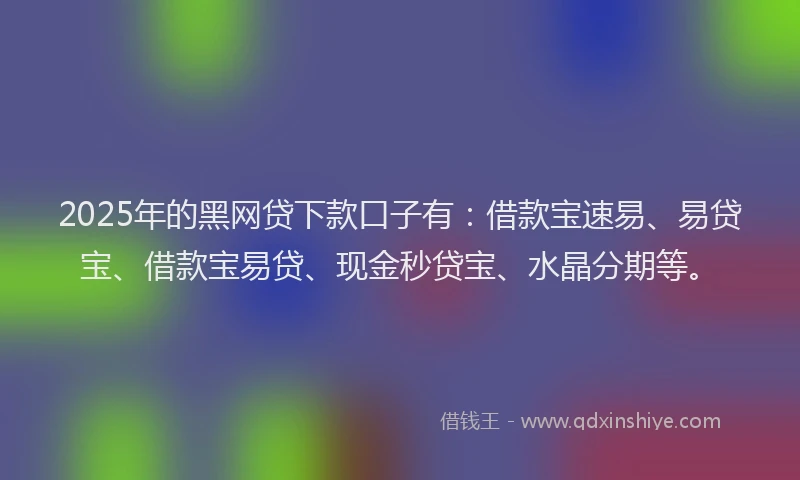 2025年的黑网贷下款口子有：借款宝速易、易贷宝、借款宝易贷、现金秒贷宝、水晶分期等。