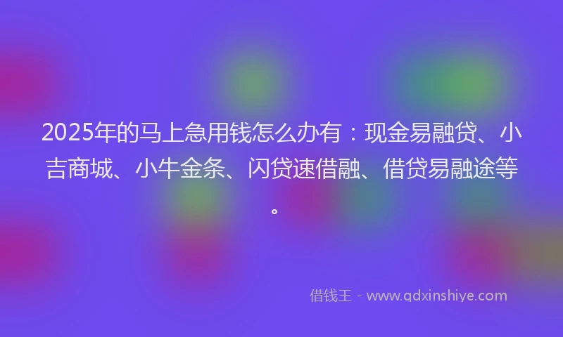 2025年的马上急用钱怎么办有：现金易融贷、小吉商城、小牛金条、闪贷速借融、借贷易融途等。