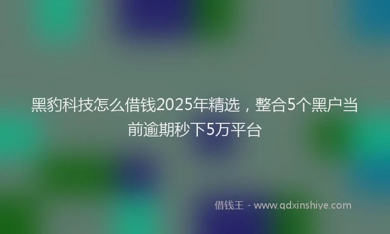 黑豹科技怎么借钱2025年精选，整合5个黑户当前逾期秒下5万平台