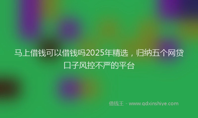 马上借钱可以借钱吗2025年精选，归纳五个网贷口子风控不严的平台