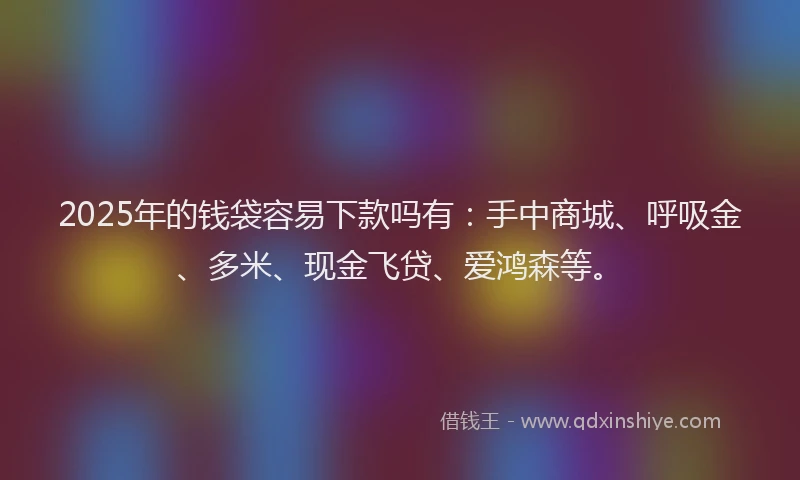 2025年的钱袋容易下款吗有：手中商城、呼吸金、多米、现金飞贷、爱鸿森等。