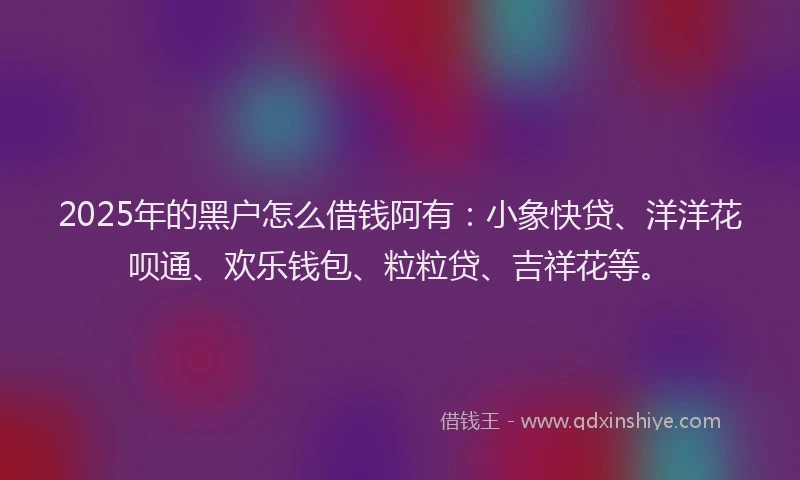 2025年的黑户怎么借钱阿有：小象快贷、洋洋花呗通、欢乐钱包、粒粒贷、吉祥花等。