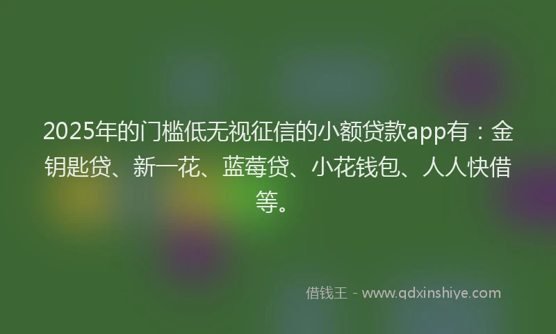 2025年的门槛低无视征信的小额贷款app有：金钥匙贷、新一花、蓝莓贷、小花钱包、人人快借等。