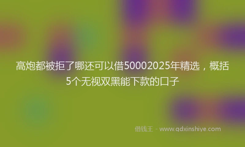 高炮都被拒了哪还可以借50002025年精选，概括5个无视双黑能下款的口子