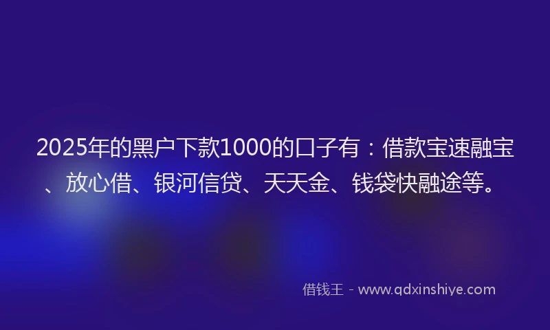 2025年的黑户下款1000的口子有：借款宝速融宝、放心借、银河信贷、天天金、钱袋快融途等。