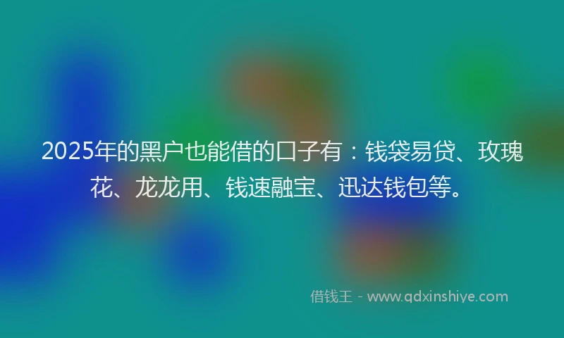 2025年的黑户也能借的口子有：钱袋易贷、玫瑰花、龙龙用、钱速融宝、迅达钱包等。