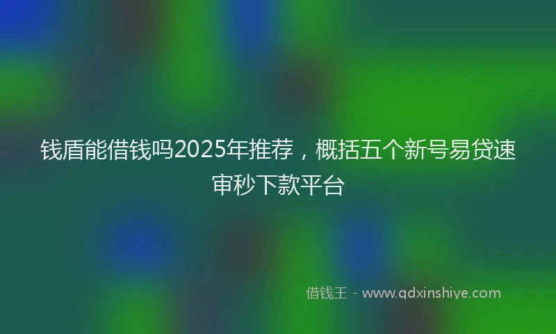 钱盾能借钱吗2025年推荐，概括五个新号易贷速审秒下款平台