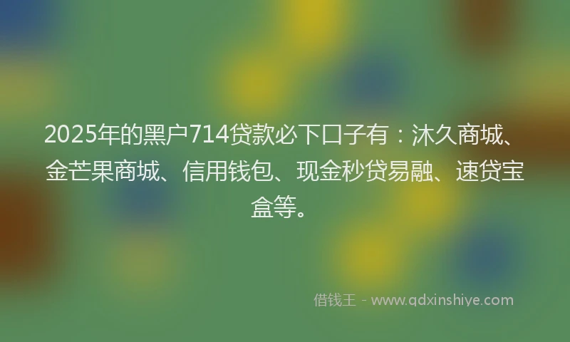 2025年的黑户714贷款必下口子有：沐久商城、金芒果商城、信用钱包、现金秒贷易融、速贷宝盒等。