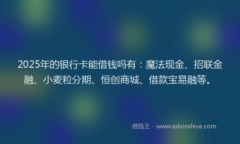 2025年的银行卡能借钱吗有：魔法现金、招联金融、小麦粒分期、恒创商城、借款宝易融等。
