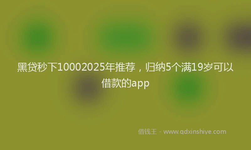 黑贷秒下10002025年推荐，归纳5个满19岁可以借款的app