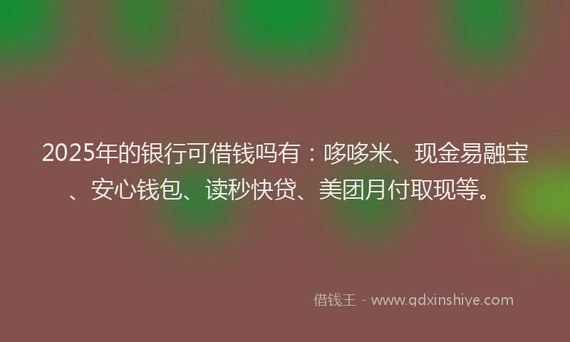 2025年的银行可借钱吗有：哆哆米、现金易融宝、安心钱包、读秒快贷、美团月付取现等。