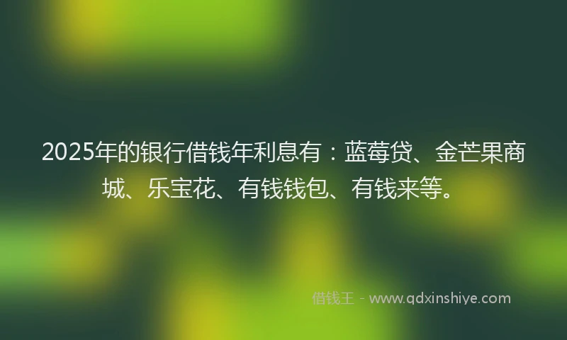 2025年的银行借钱年利息有：蓝莓贷、金芒果商城、乐宝花、有钱钱包、有钱来等。