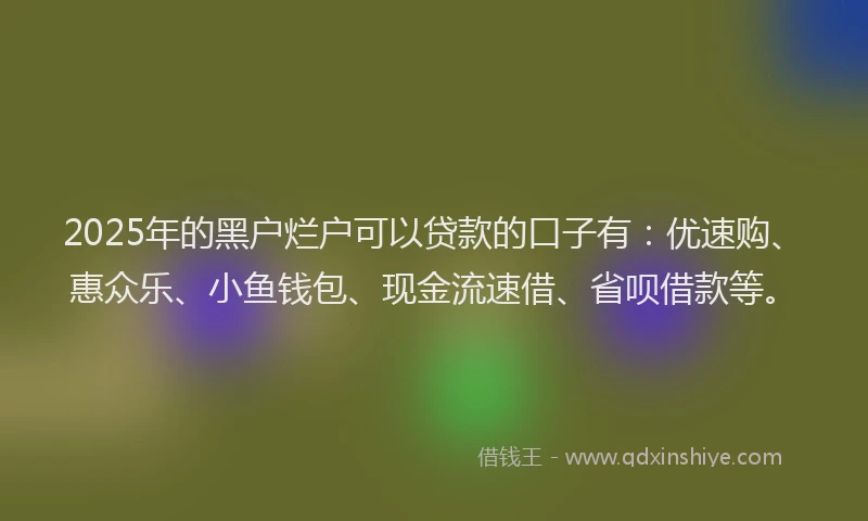 2025年的黑户烂户可以贷款的口子有：优速购、惠众乐、小鱼钱包、现金流速借、省呗借款等。