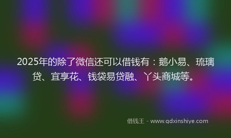 2025年的除了微信还可以借钱有：鹅小易、琉璃贷、宜享花、钱袋易贷融、丫头商城等。