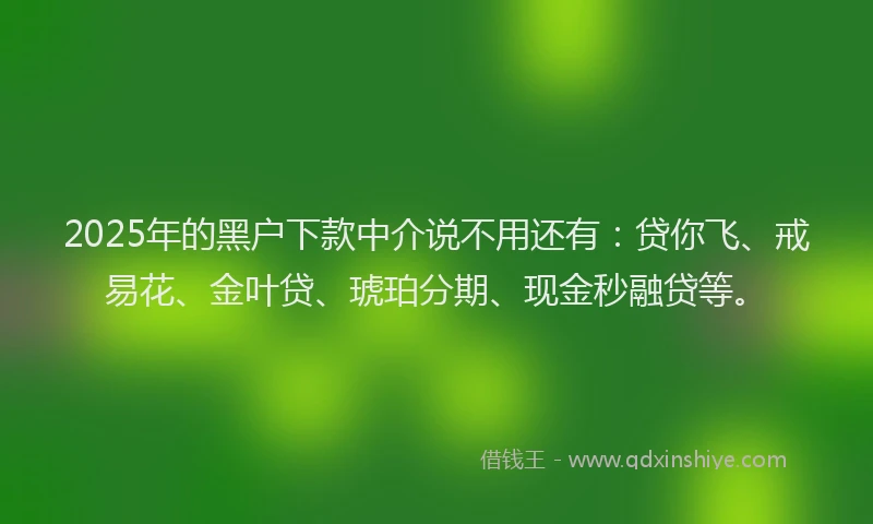 2025年的黑户下款中介说不用还有：贷你飞、戒易花、金叶贷、琥珀分期、现金秒融贷等。