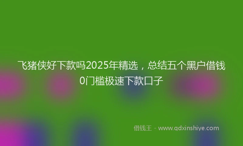 飞猪侠好下款吗2025年精选，总结五个黑户借钱0门槛极速下款口子