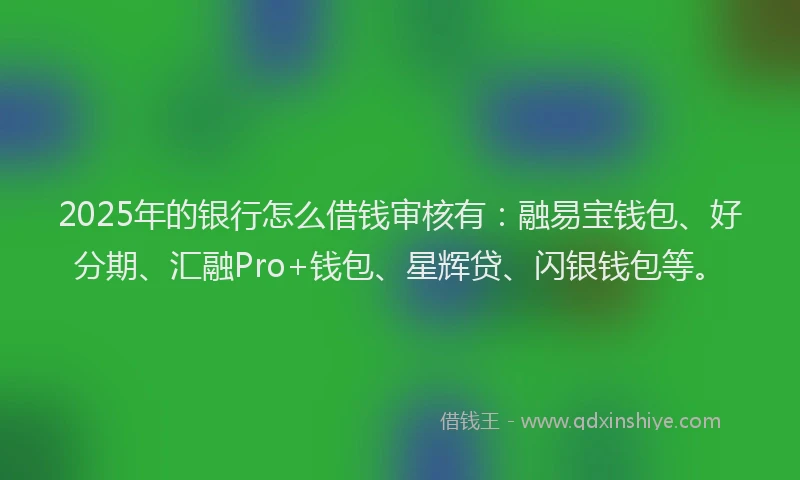 2025年的银行怎么借钱审核有：融易宝钱包、好分期、汇融Pro+钱包、星辉贷、闪银钱包等。