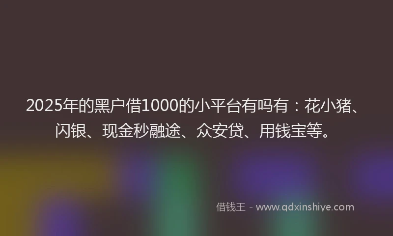 2025年的黑户借1000的小平台有吗有：花小猪、闪银、现金秒融途、众安贷、用钱宝等。