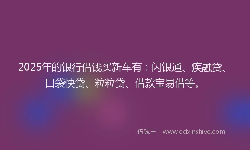2025年的银行借钱买新车有：闪银通、疾融贷、口袋快贷、粒粒贷、借款宝易借等。