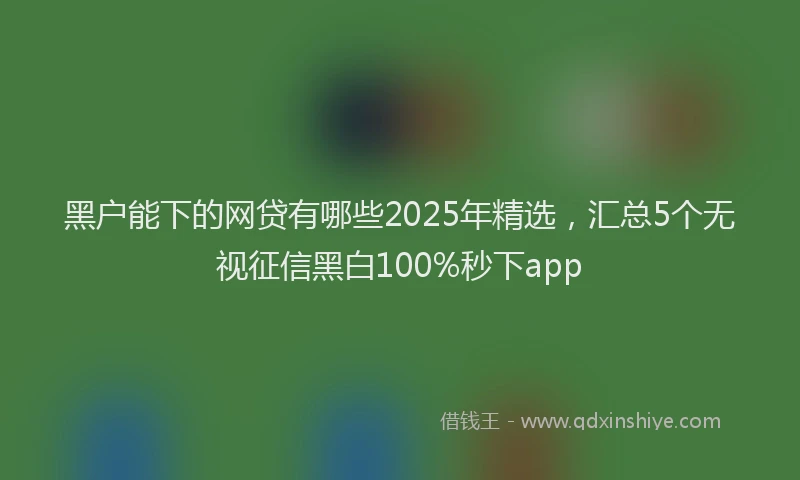 黑户能下的网贷有哪些2025年精选，汇总5个无视征信黑白100%秒下app