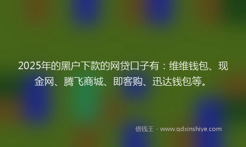 2025年的黑户下款的网贷口子有：维维钱包、现金网、腾飞商城、即客购、迅达钱包等。