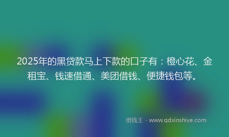 2025年的黑贷款马上下款的口子有：橙心花、金租宝、钱速借通、美团借钱、便捷钱包等。