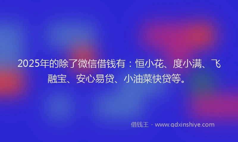 2025年的除了微信借钱有：恒小花、度小满、飞融宝、安心易贷、小油菜快贷等。