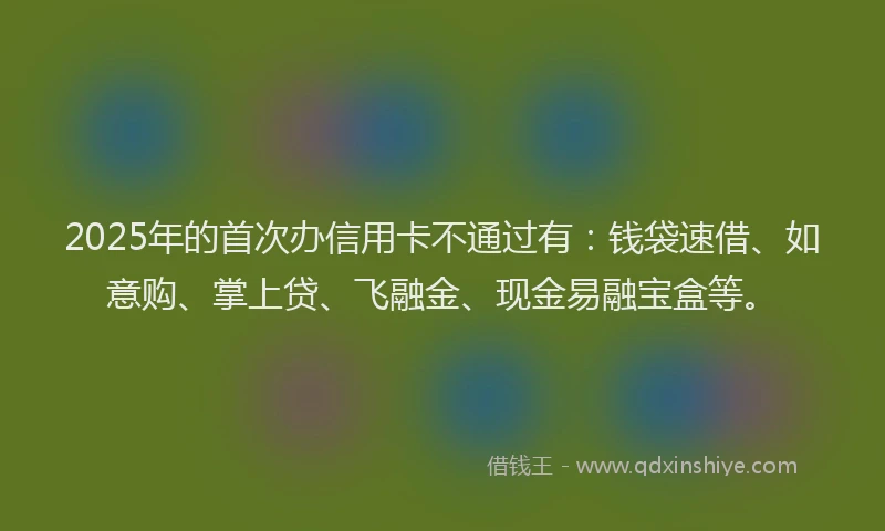 2025年的首次办信用卡不通过有：钱袋速借、如意购、掌上贷、飞融金、现金易融宝盒等。