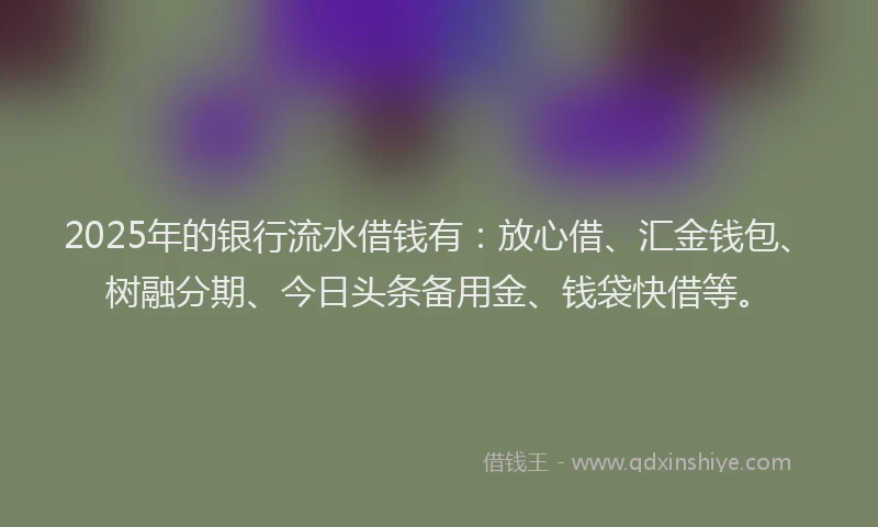2025年的银行流水借钱有：放心借、汇金钱包、树融分期、今日头条备用金、钱袋快借等。