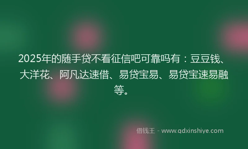 2025年的随手贷不看征信吧可靠吗有：豆豆钱、大洋花、阿凡达速借、易贷宝易、易贷宝速易融等。