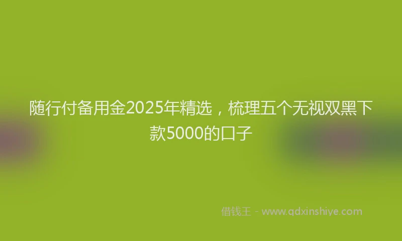 随行付备用金2025年精选，梳理五个无视双黑下款5000的口子