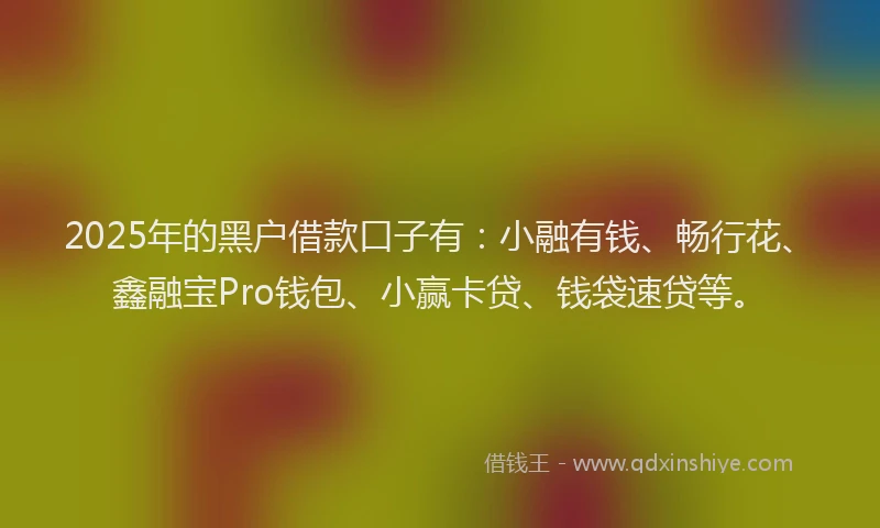 2025年的黑户借款口子有：小融有钱、畅行花、鑫融宝Pro钱包、小赢卡贷、钱袋速贷等。