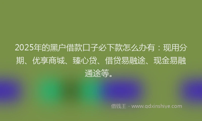 2025年的黑户借款口子必下款怎么办有：现用分期、优享商城、臻心贷、借贷易融途、现金易融通途等。