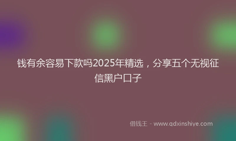 钱有余容易下款吗2025年精选，分享五个无视征信黑户口子