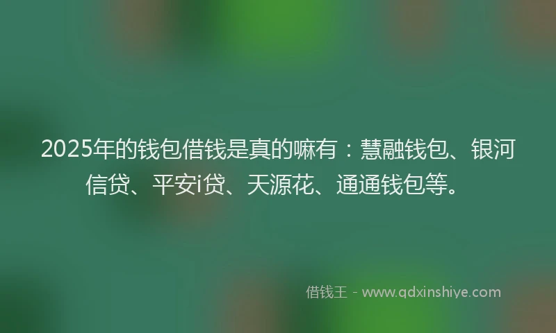 2025年的钱包借钱是真的嘛有：慧融钱包、银河信贷、平安i贷、天源花、通通钱包等。