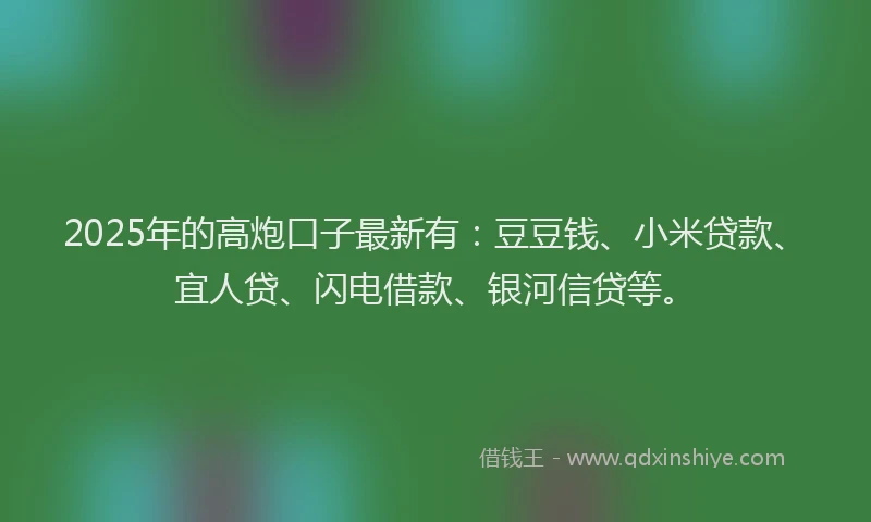 2025年的高炮口子最新有：豆豆钱、小米贷款、宜人贷、闪电借款、银河信贷等。