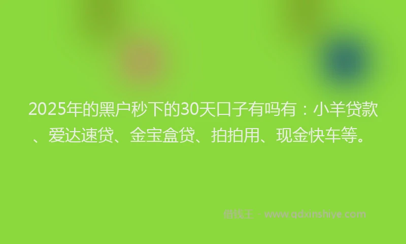 2025年的黑户秒下的30天口子有吗有：小羊贷款、爱达速贷、金宝盒贷、拍拍用、现金快车等。