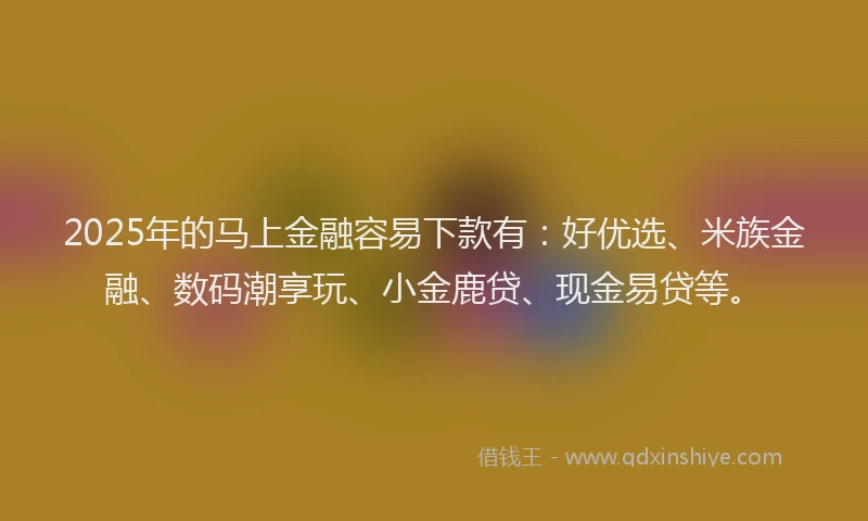 2025年的马上金融容易下款有：好优选、米族金融、数码潮享玩、小金鹿贷、现金易贷等。