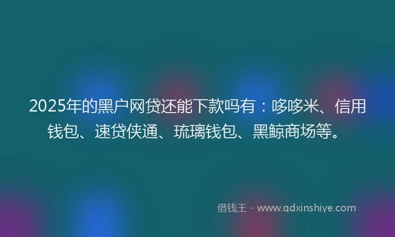 2025年的黑户网贷还能下款吗有：哆哆米、信用钱包、速贷侠通、琉璃钱包、黑鲸商场等。