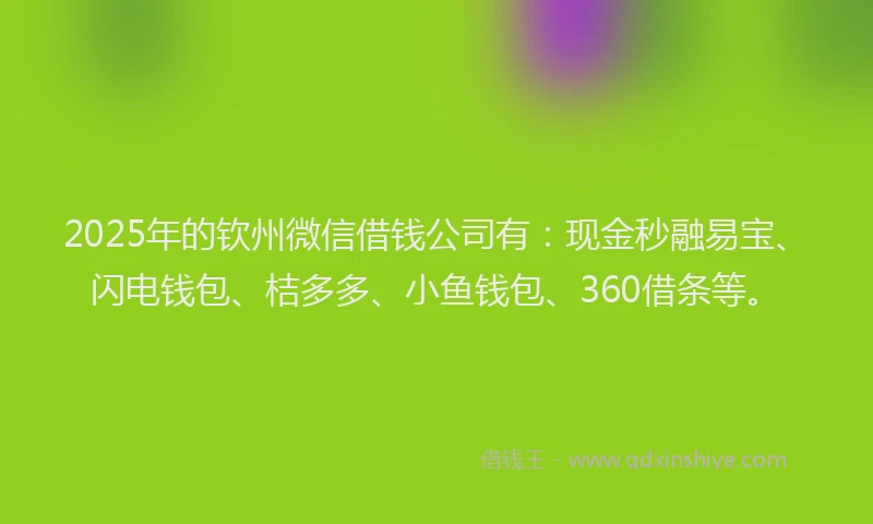 2025年的钦州微信借钱公司有：现金秒融易宝、闪电钱包、桔多多、小鱼钱包、360借条等。