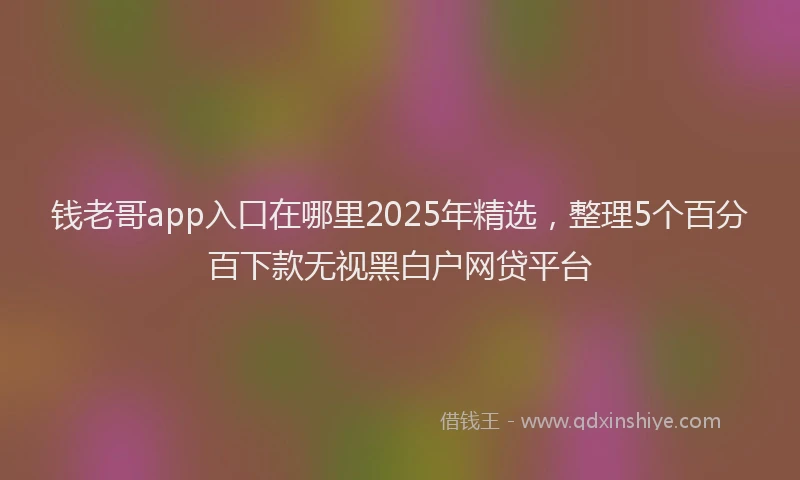 钱老哥app入口在哪里2025年精选，整理5个百分百下款无视黑白户网贷平台