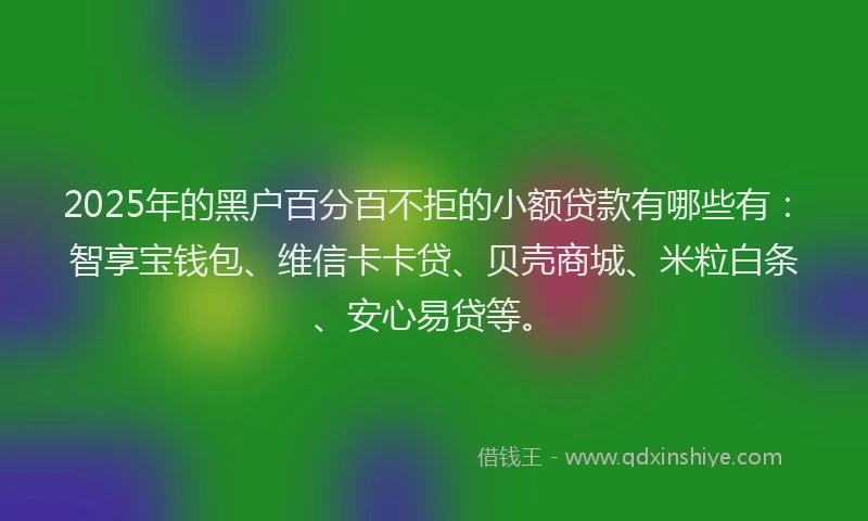 2025年的黑户百分百不拒的小额贷款有哪些有：智享宝钱包、维信卡卡贷、贝壳商城、米粒白条、安心易贷等。