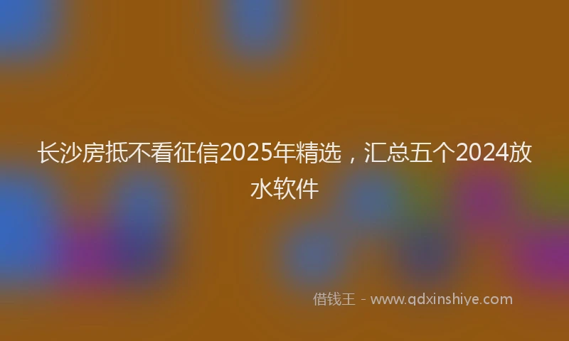 长沙房抵不看征信2025年精选，汇总五个2024放水软件