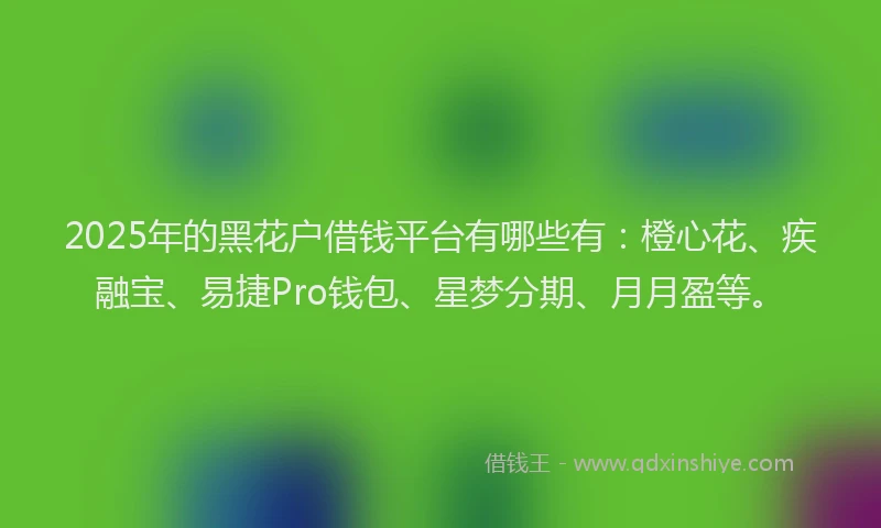 2025年的黑花户借钱平台有哪些有：橙心花、疾融宝、易捷Pro钱包、星梦分期、月月盈等。