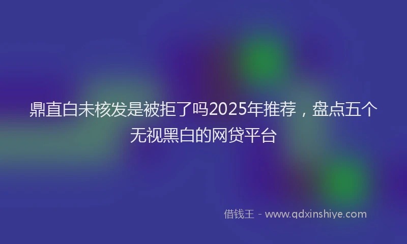 鼎直白未核发是被拒了吗2025年推荐，盘点五个无视黑白的网贷平台