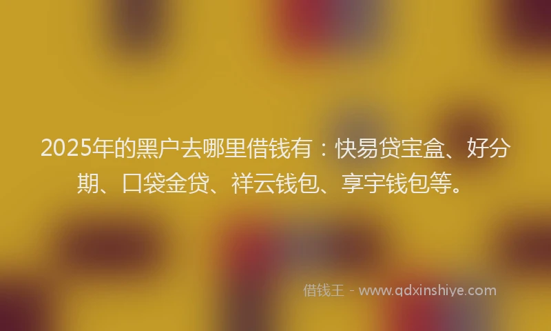 2025年的黑户去哪里借钱有：快易贷宝盒、好分期、口袋金贷、祥云钱包、享宇钱包等。